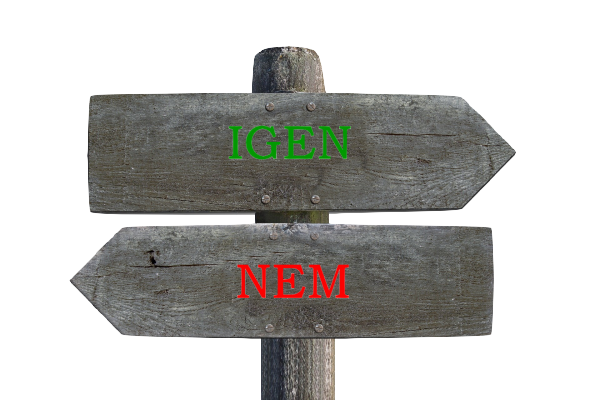 Igen vagy nem!